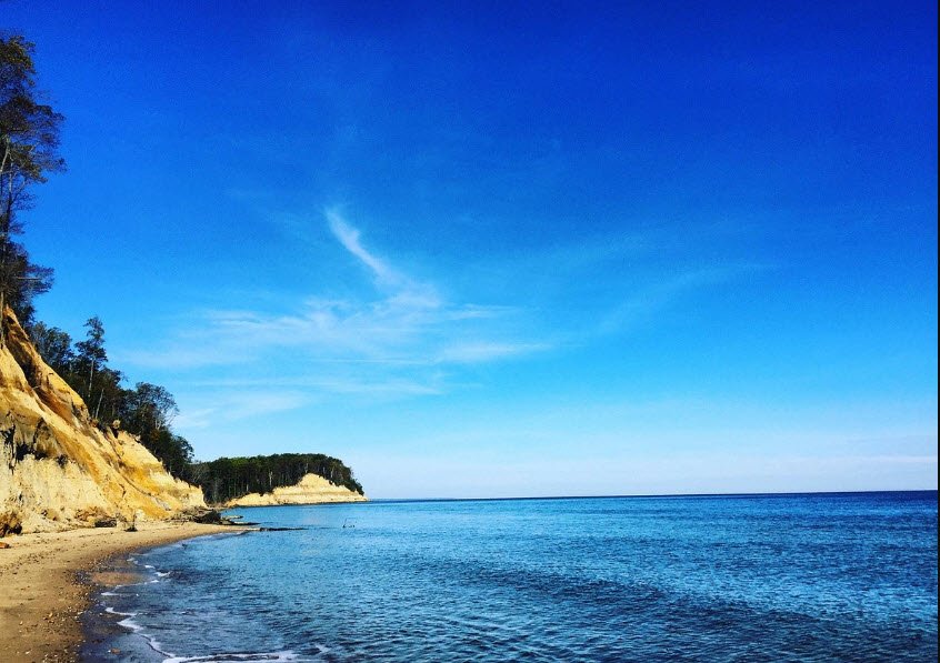 Calvert Cliffs State Park, Maryland, USA
